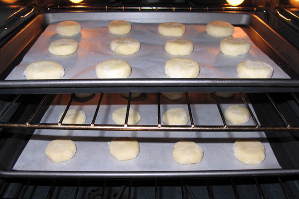 Cookies oven