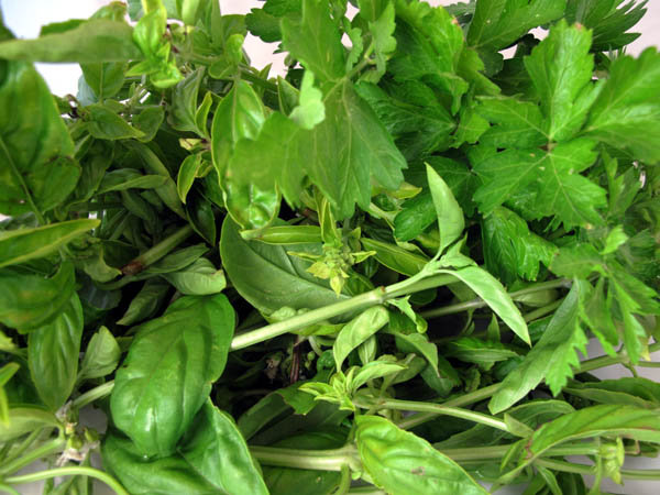 Basil parsley