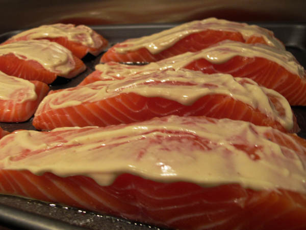 Salmon fillets mustard