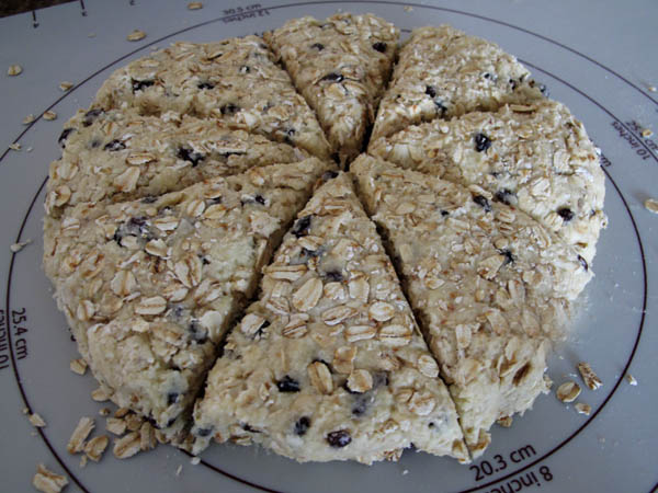 Oat scones dough cut