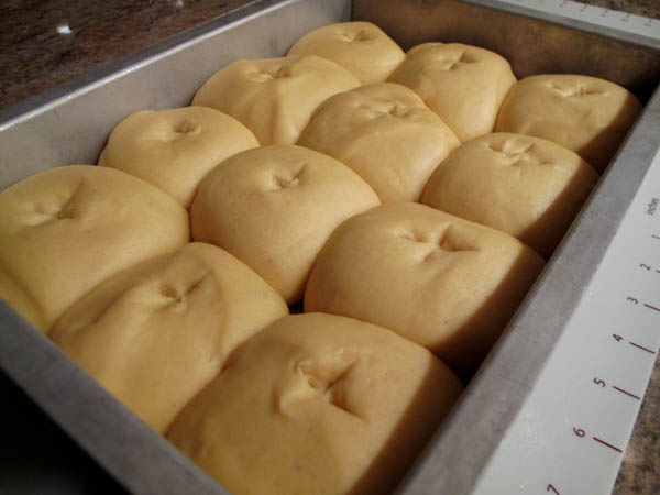 Hot cross dough rise