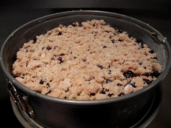 Blueberry buckle crumbs