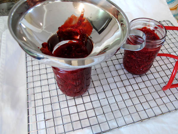 Strawberry Jam Filling 2