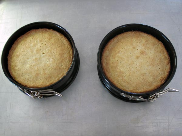 Almond Cakes baked