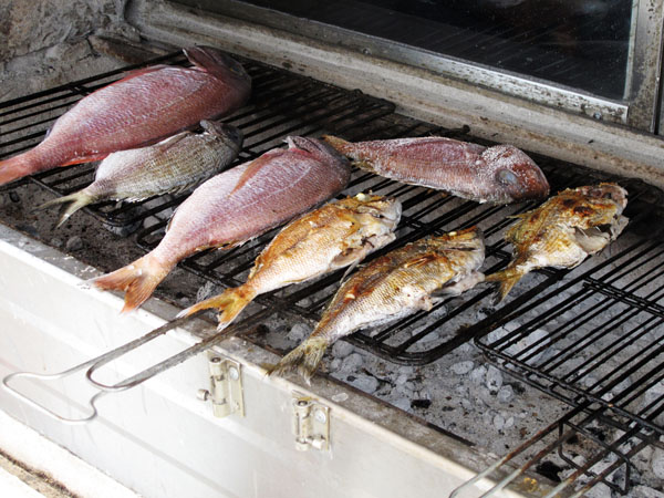 Fish grilling