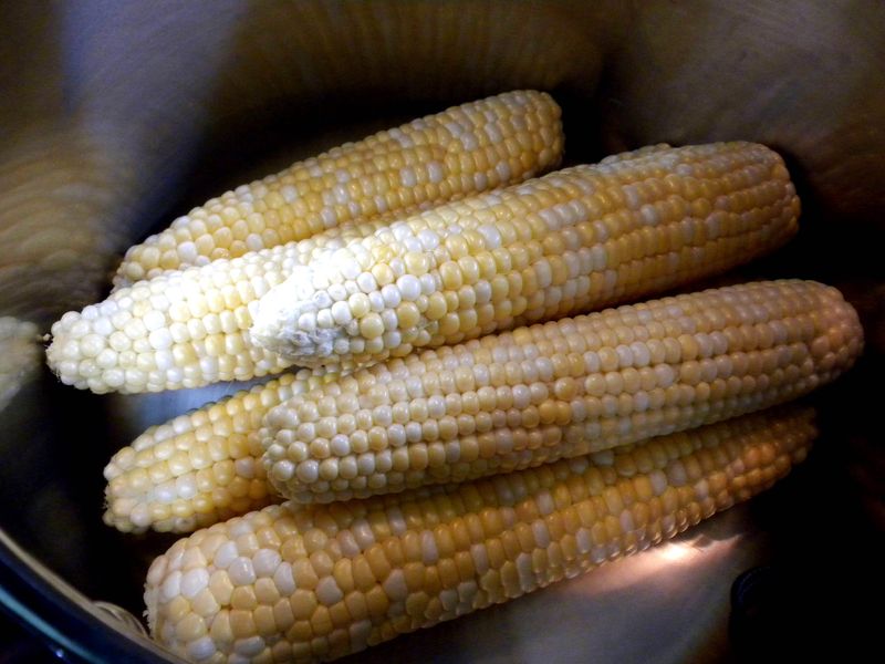 Corn in pot1