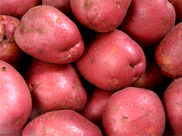 Red_potatoes1