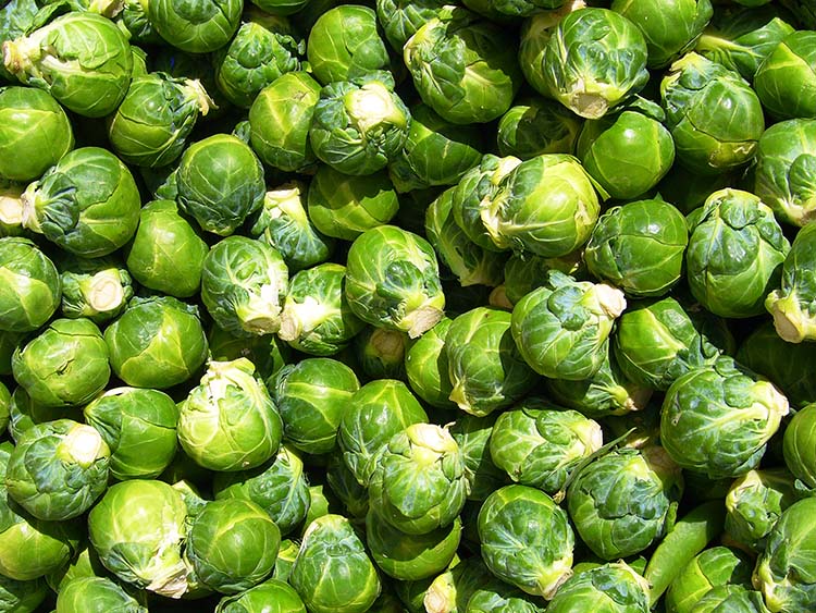 Brussels_sprouts raw