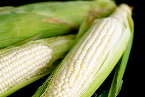 Sweet corn