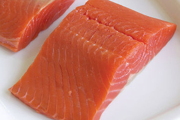 Salmon