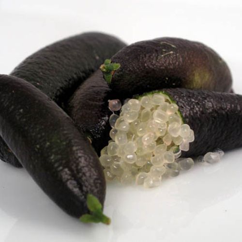 Caviar limes 3