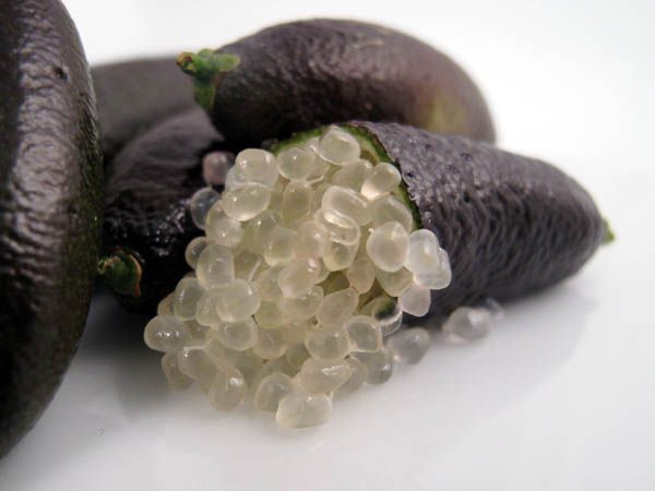Caviar limes 2